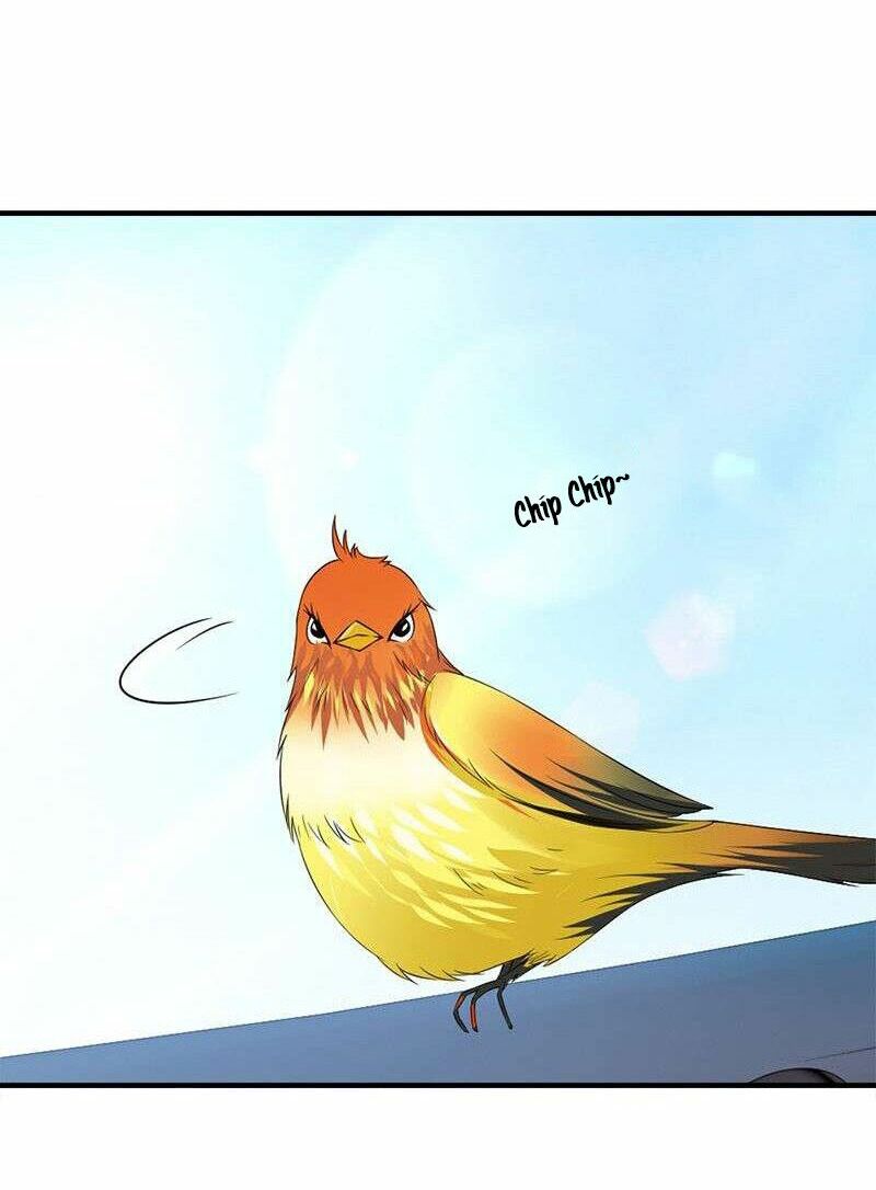 Tận diệt vương gia mãn triều: Chapter 107