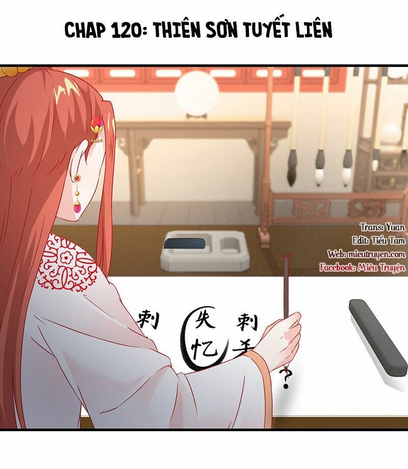 Tận diệt vương gia mãn triều: Chapter 120