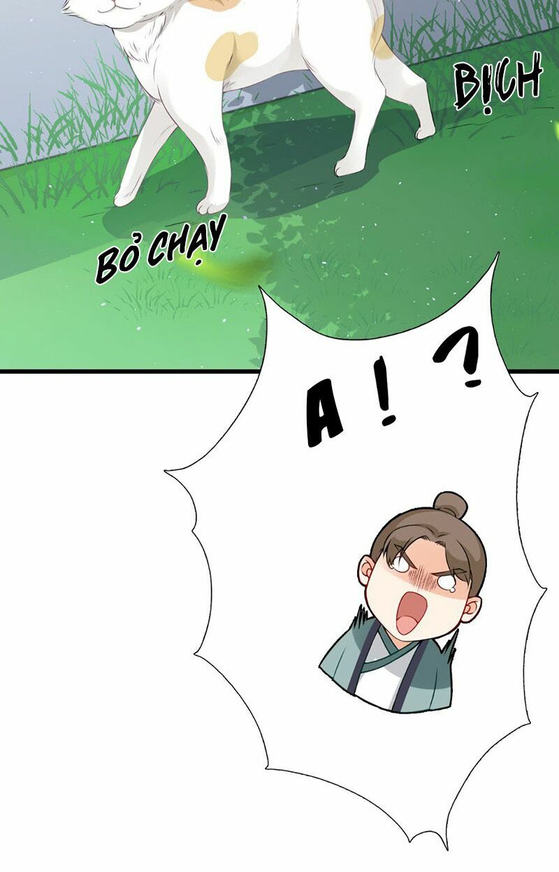 Tận diệt vương gia mãn triều: Chapter 139