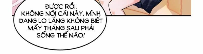 Thú cưng độc quyền của boss: Chapter 14