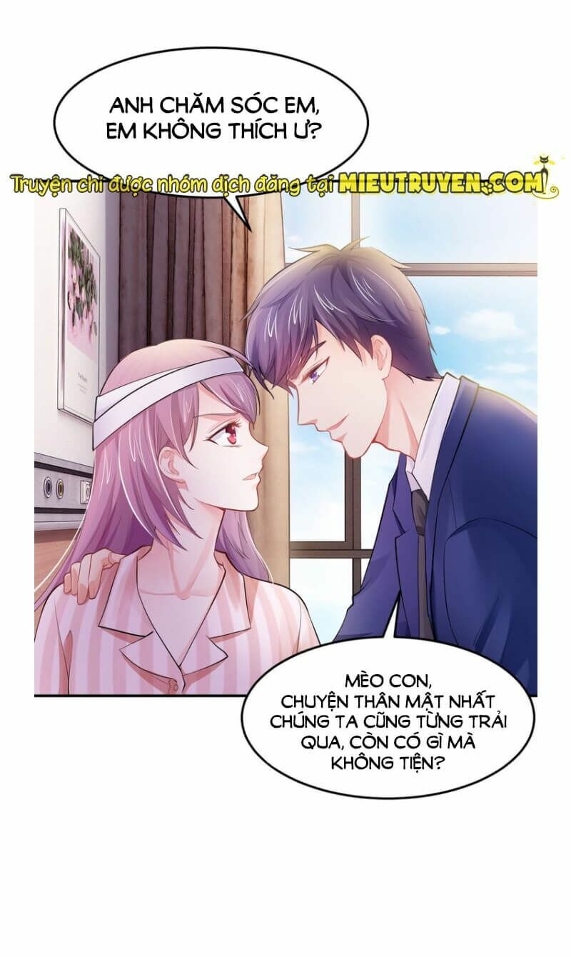 Thú cưng độc quyền của boss: Chapter 14