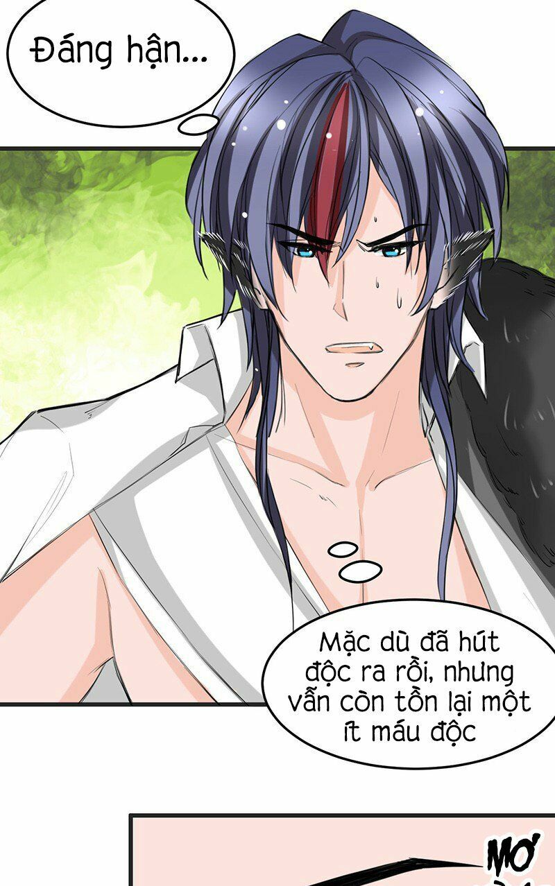 Thú Vương Chuyên Sủng: Chapter 11