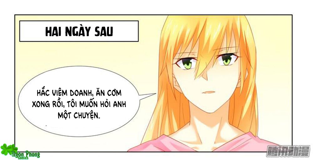 Phúc Hắc Tổng Tài Đừng Tới Đây: Chapter 19