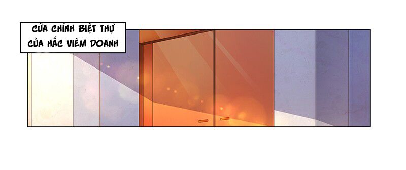Phúc Hắc Tổng Tài Đừng Tới Đây: Chapter 53