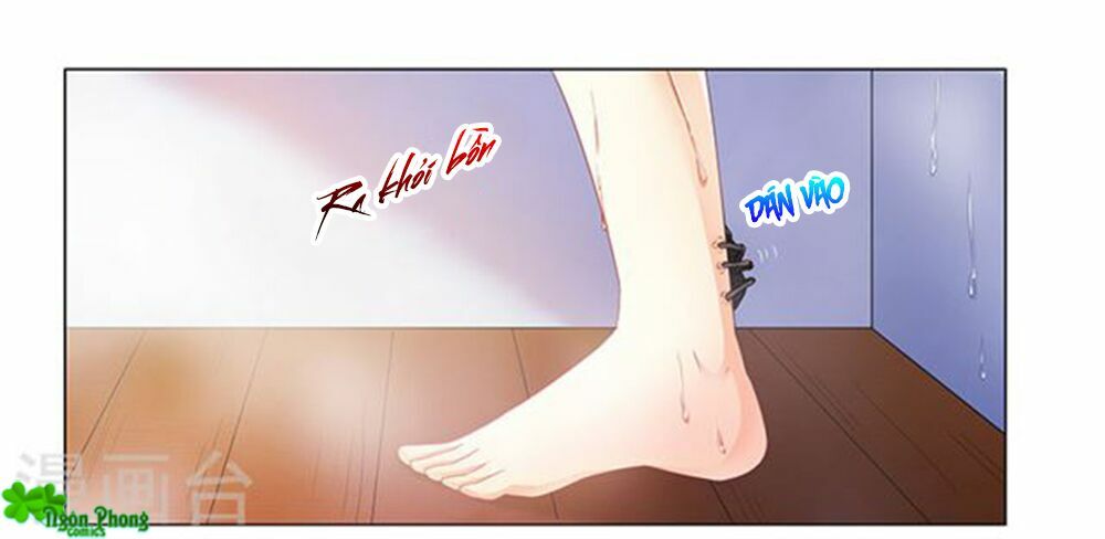 Phúc Hắc Tổng Tài Đừng Tới Đây: Chapter 63