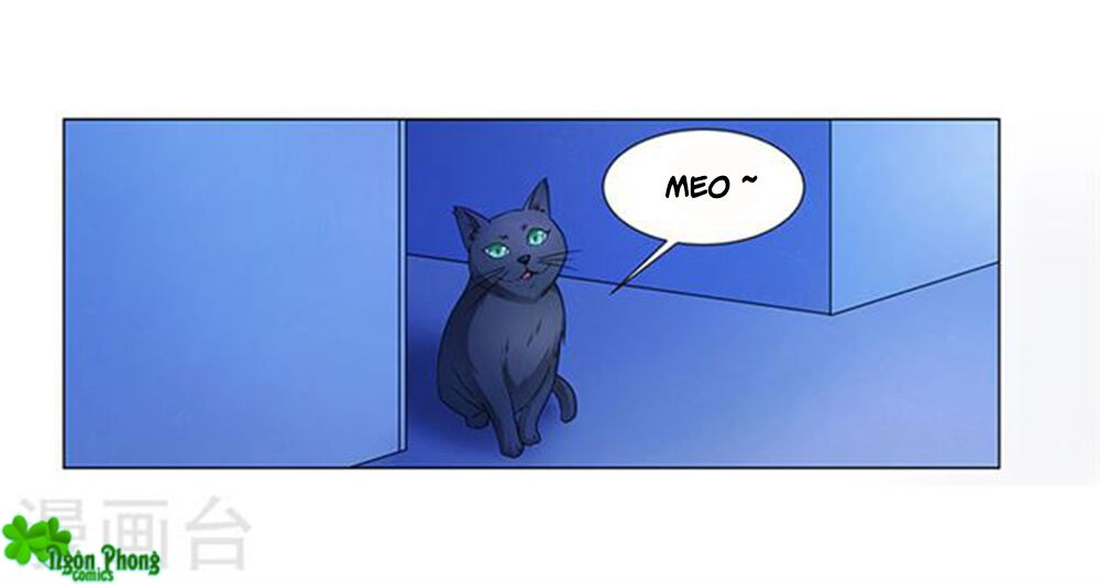 Phúc Hắc Tổng Tài Đừng Tới Đây: Chapter 64