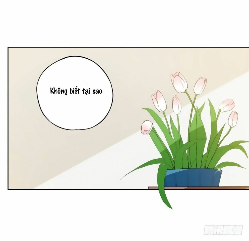 Thiên Kim Đường Môn: Chapter 84