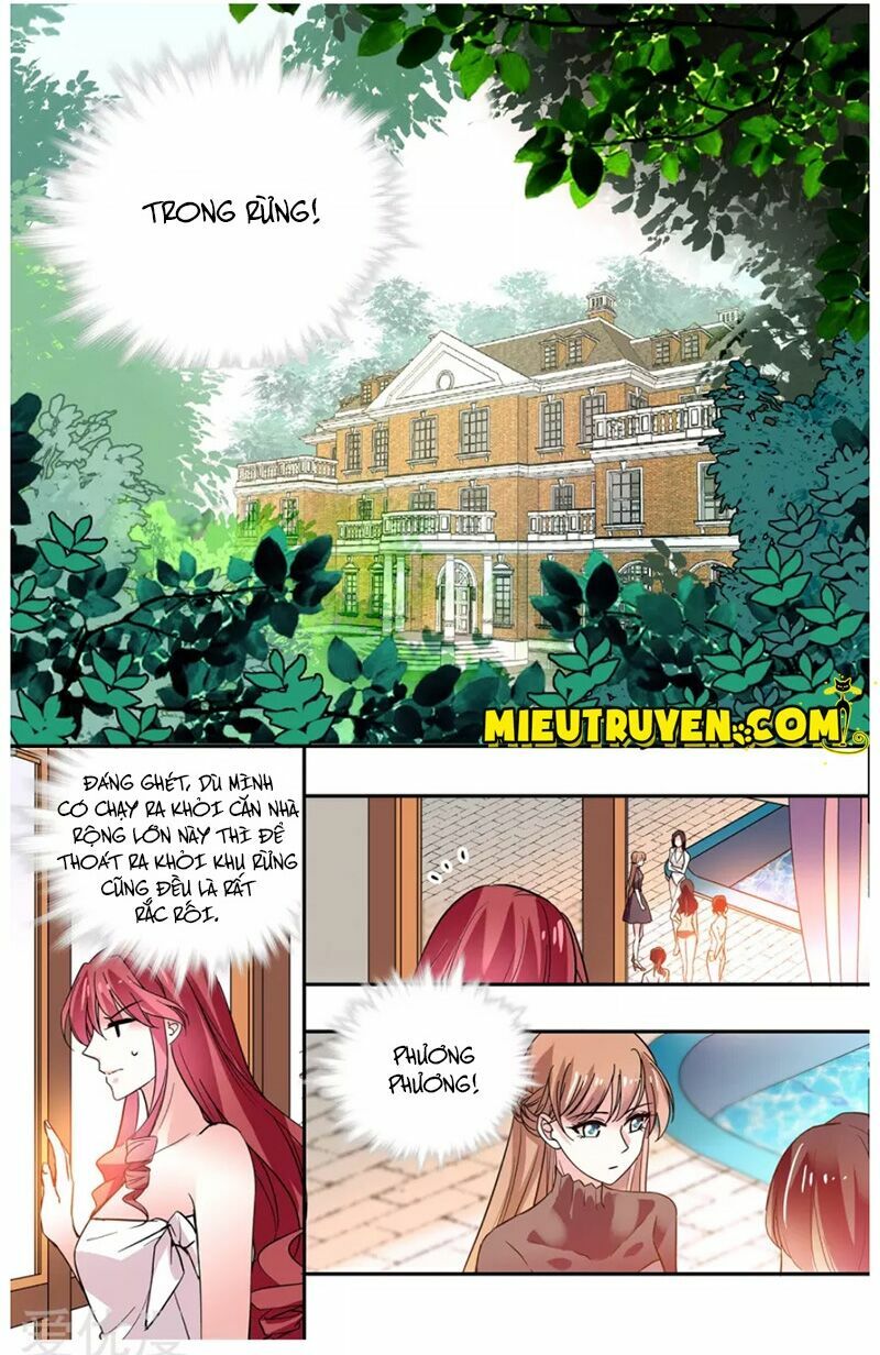 Thâm Hải Nguy Tình: Chapter 28