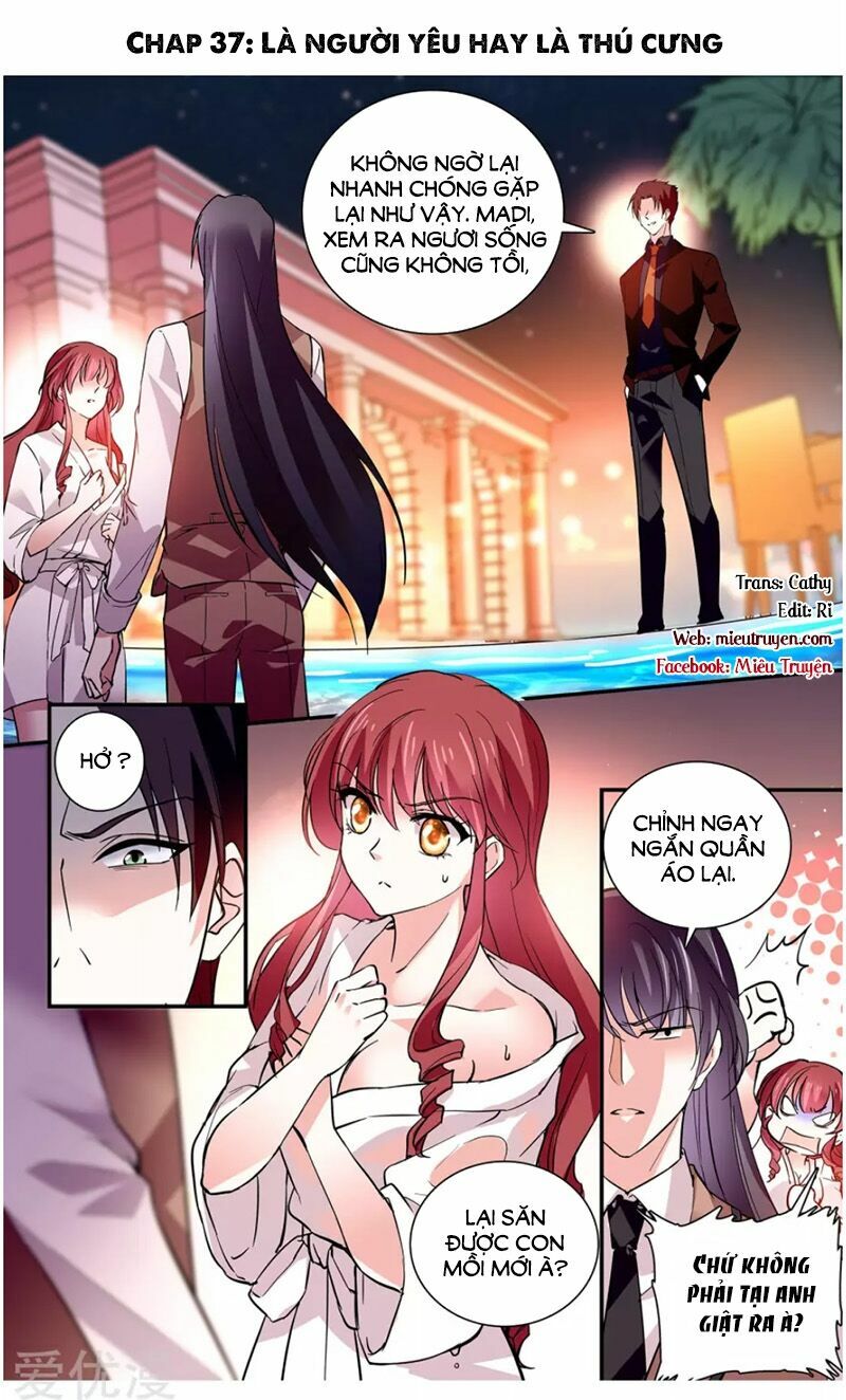 Thâm Hải Nguy Tình: Chapter 37
