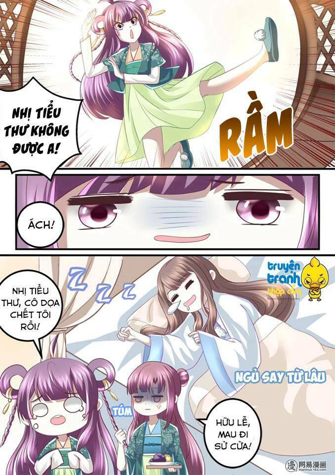 Nhị Tiểu Thư Không Dùng Được: Chapter 36