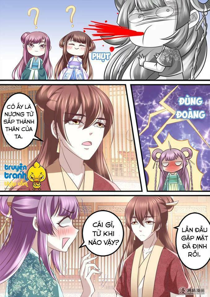 Nhị Tiểu Thư Không Dùng Được: Chapter 36