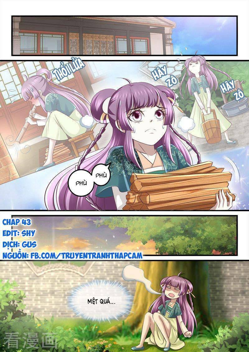 Nhị Tiểu Thư Không Dùng Được: Chapter 43