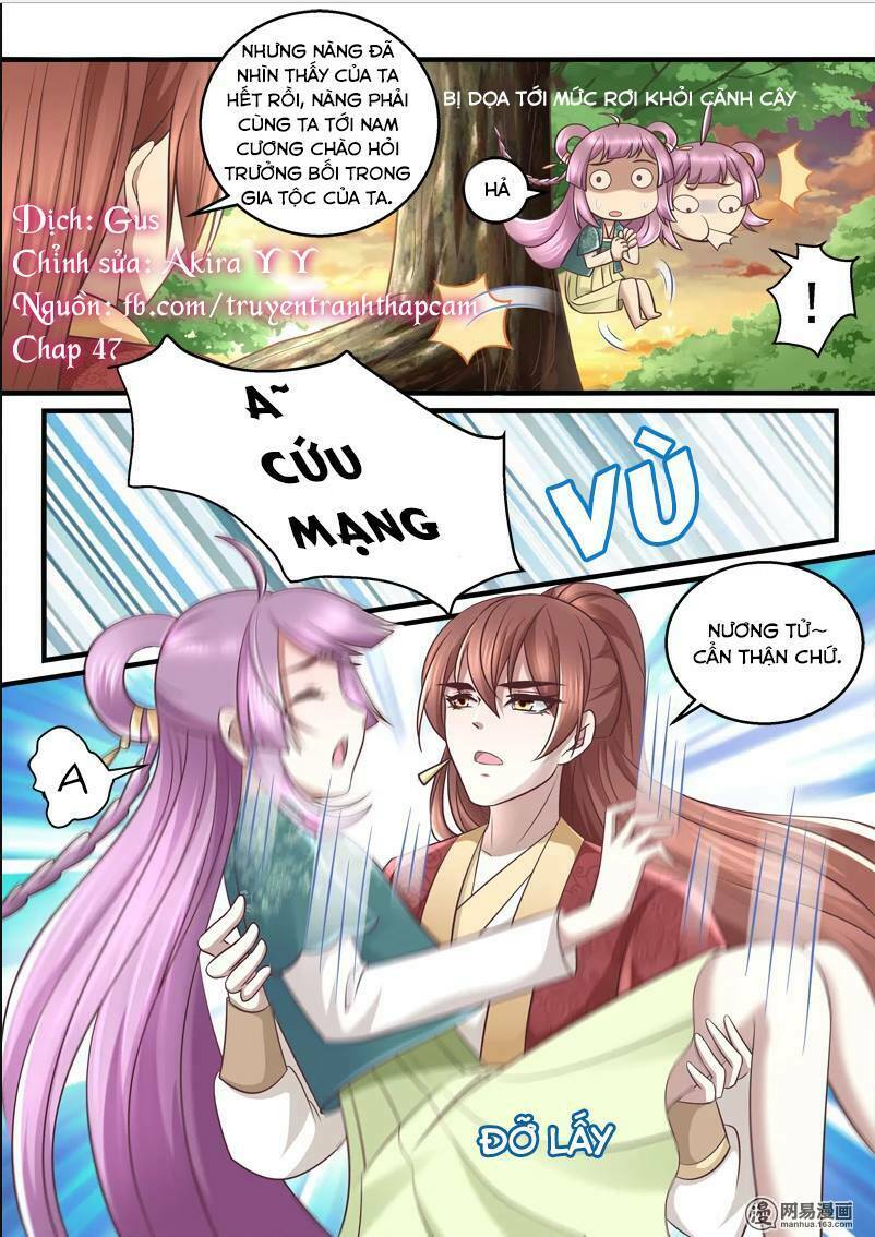 Nhị Tiểu Thư Không Dùng Được: Chapter 47
