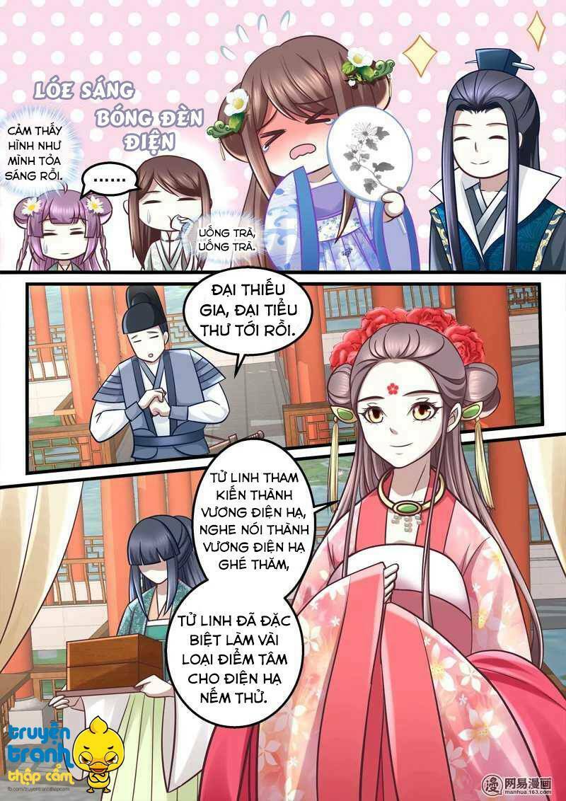 Nhị Tiểu Thư Không Dùng Được: Chapter 48