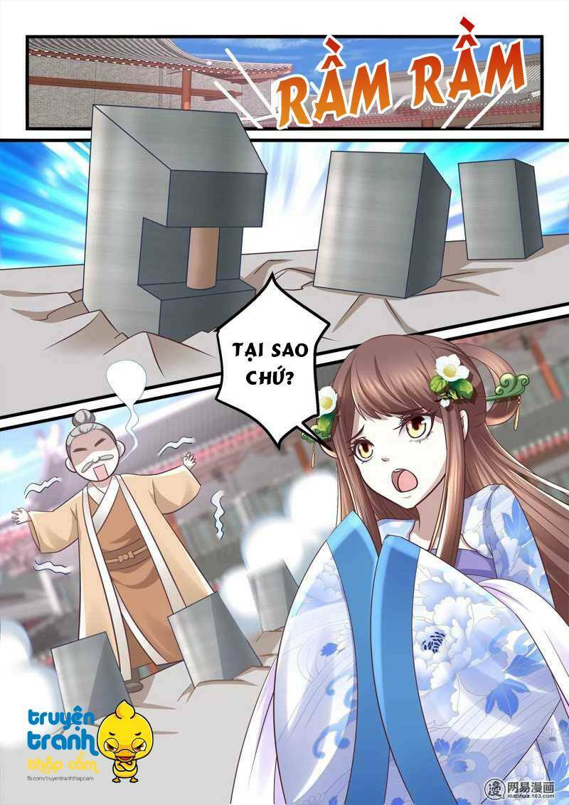 Nhị Tiểu Thư Không Dùng Được: Chapter 49