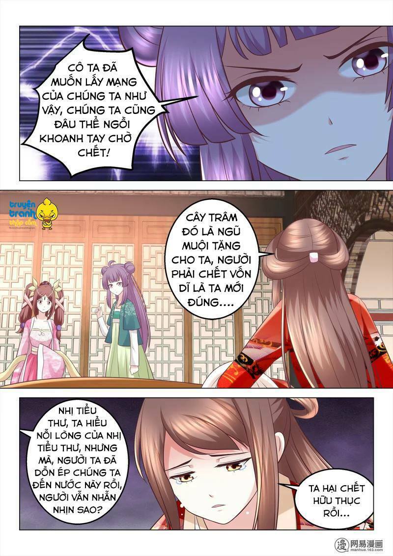 Nhị Tiểu Thư Không Dùng Được: Chapter 65