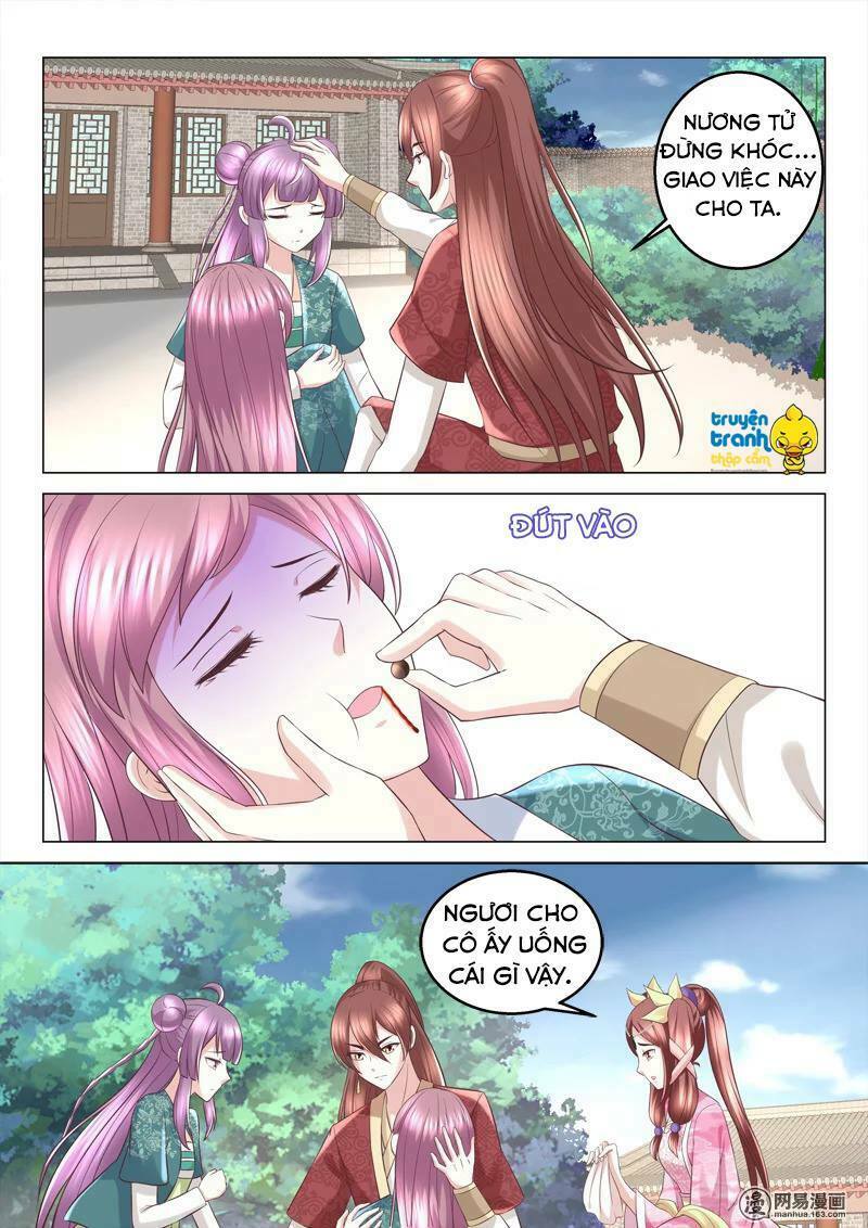 Nhị Tiểu Thư Không Dùng Được: Chapter 65