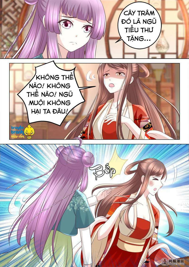 Nhị Tiểu Thư Không Dùng Được: Chapter 65
