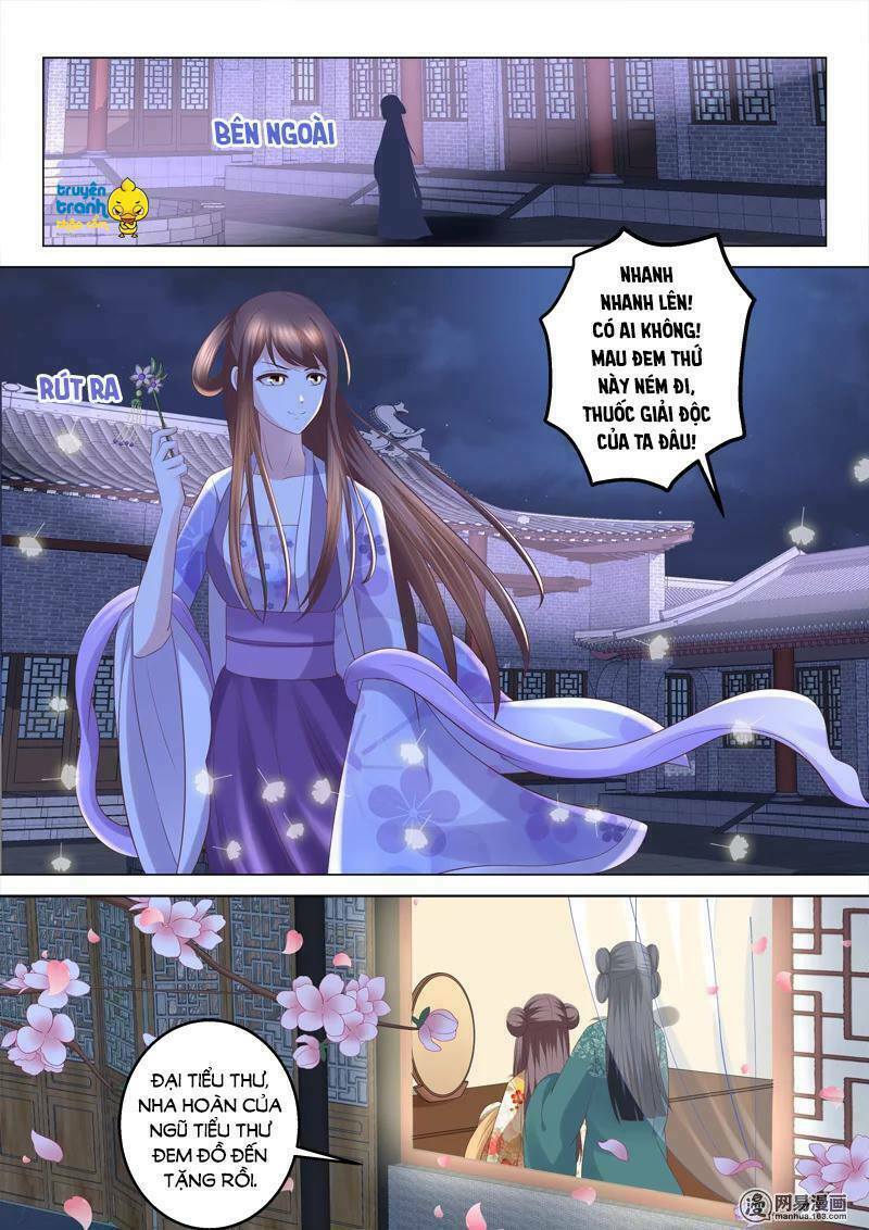 Nhị Tiểu Thư Không Dùng Được: Chapter 68
