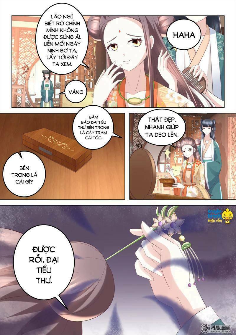 Nhị Tiểu Thư Không Dùng Được: Chapter 68