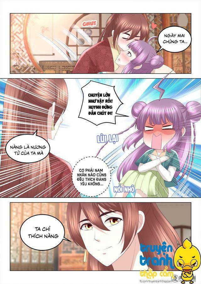 Nhị Tiểu Thư Không Dùng Được: Chapter 71