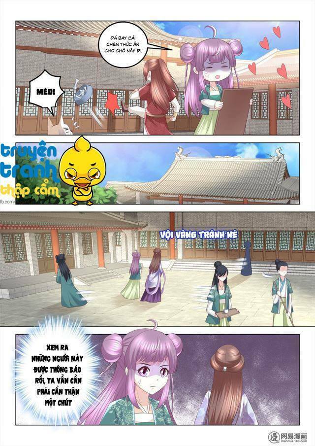 Nhị Tiểu Thư Không Dùng Được: Chapter 73