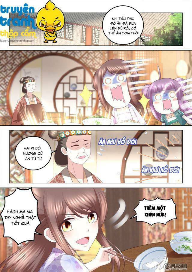 Nhị Tiểu Thư Không Dùng Được: Chapter 73