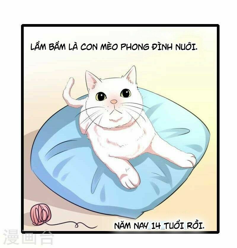 Tình Yêu Không Thể Bù Đắp: Chapter 51