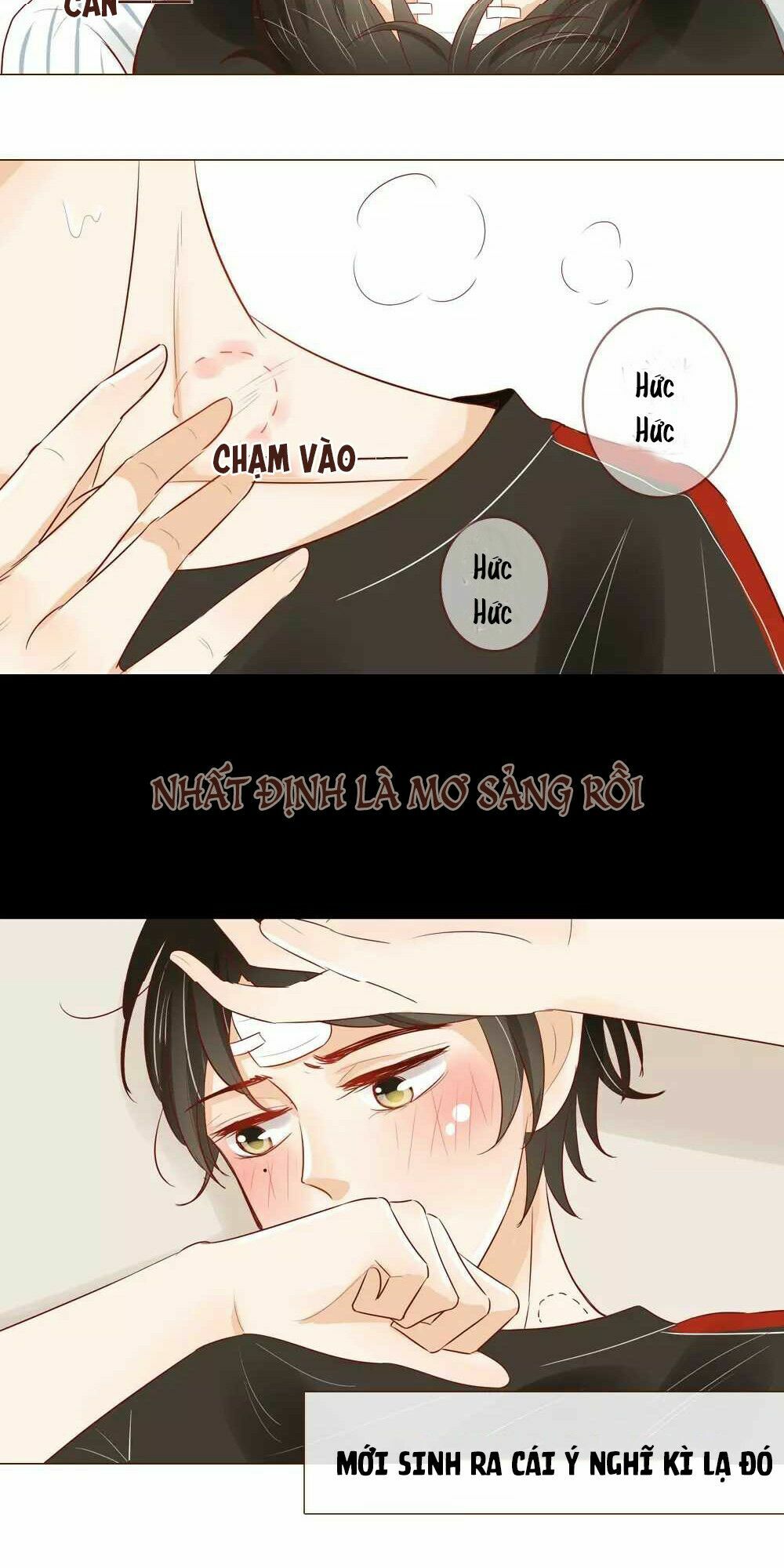 Trái Tim Bí Ẩn: Chapter 28