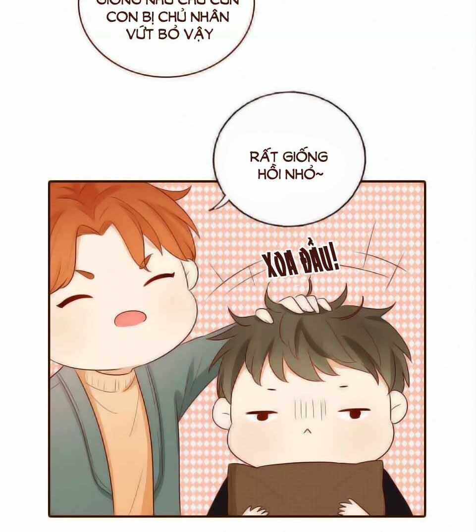 Trái Tim Bí Ẩn: Chapter 62