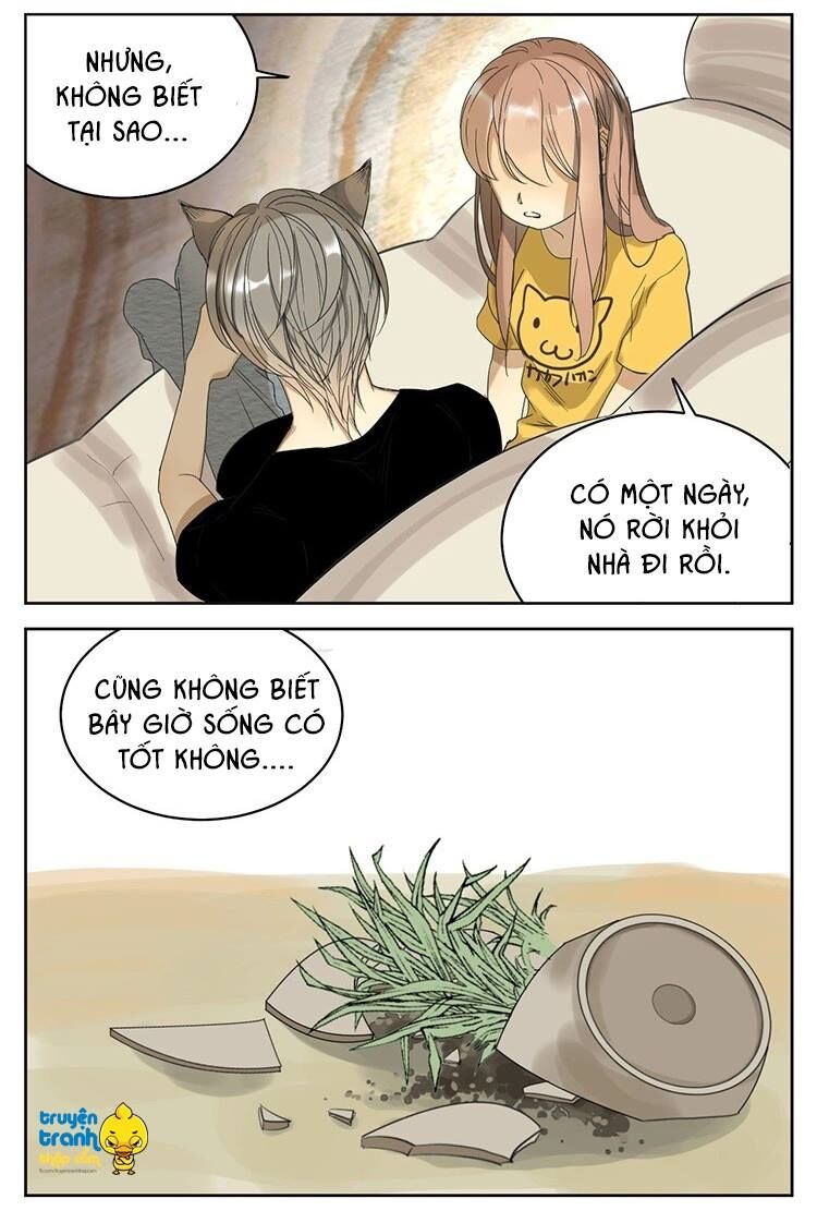 Cứu mạng ! Loài mèo thống trị thế giới rồi !: Chapter 11