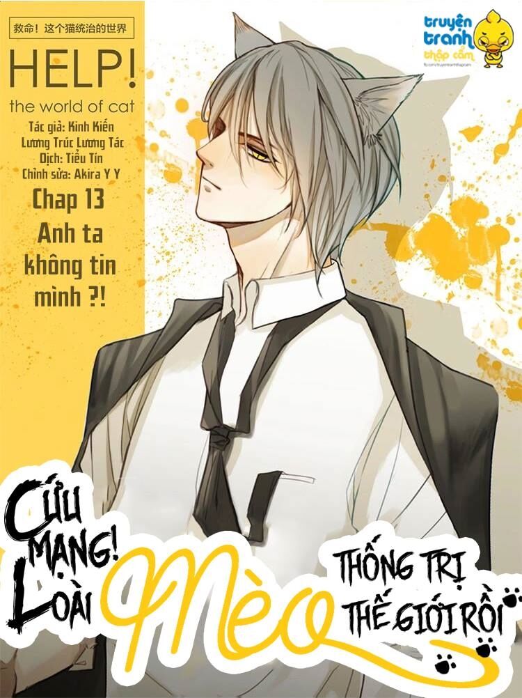 Cứu mạng ! Loài mèo thống trị thế giới rồi !: Chapter 13