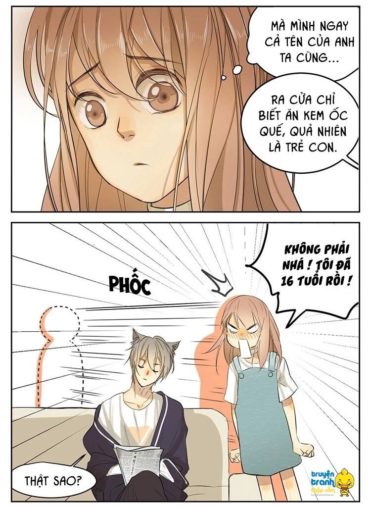 Cứu mạng ! Loài mèo thống trị thế giới rồi !: Chapter 13