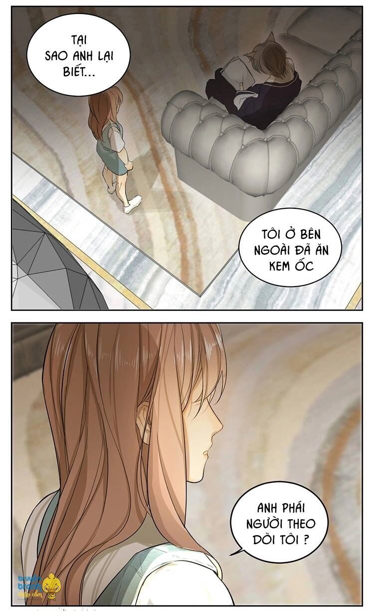 Cứu mạng ! Loài mèo thống trị thế giới rồi !: Chapter 13
