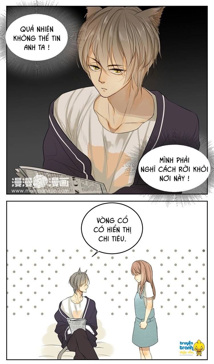 Cứu mạng ! Loài mèo thống trị thế giới rồi !: Chapter 13