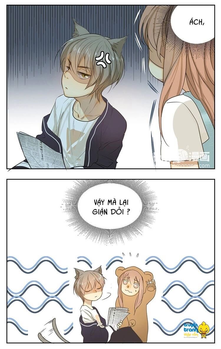Cứu mạng ! Loài mèo thống trị thế giới rồi !: Chapter 13