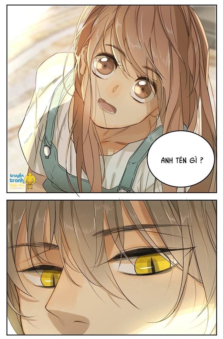 Cứu mạng ! Loài mèo thống trị thế giới rồi !: Chapter 13