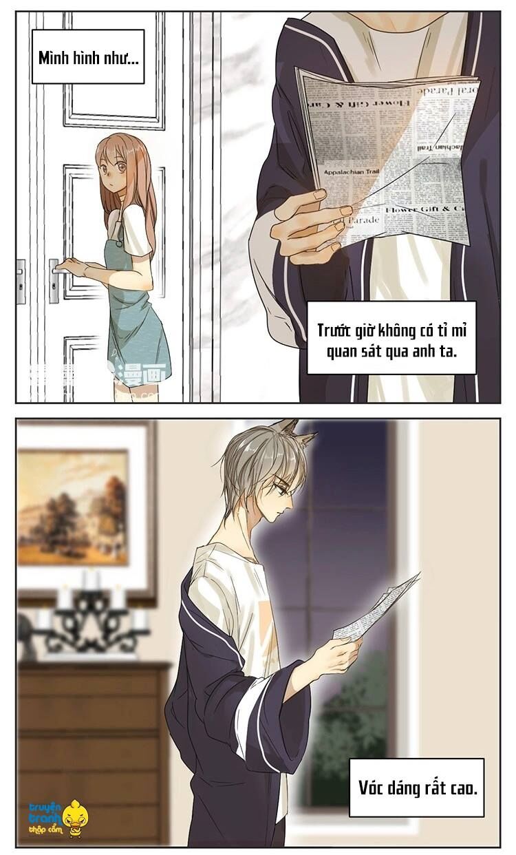Cứu mạng ! Loài mèo thống trị thế giới rồi !: Chapter 13
