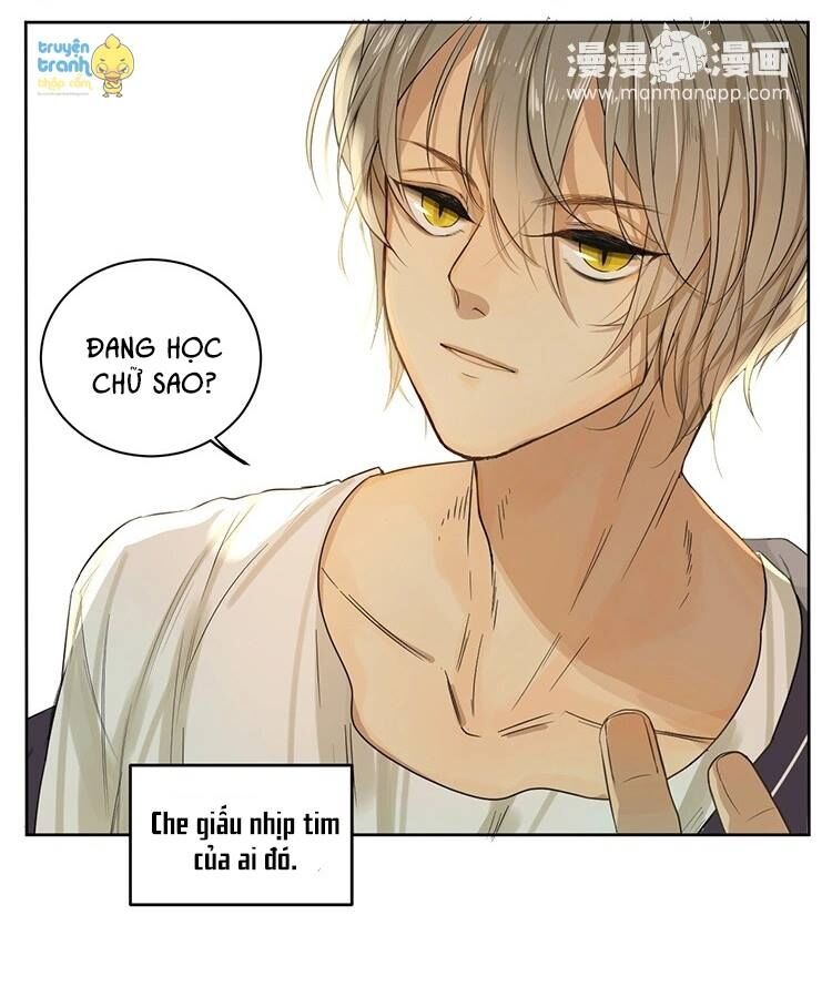 Cứu mạng ! Loài mèo thống trị thế giới rồi !: Chapter 13