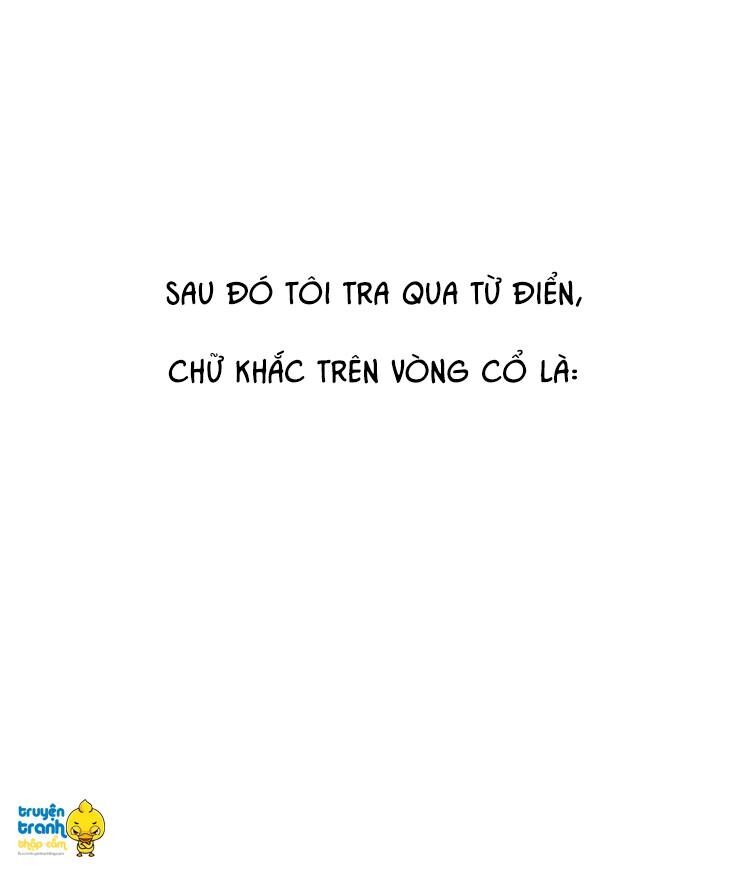 Cứu mạng ! Loài mèo thống trị thế giới rồi !: Chapter 13