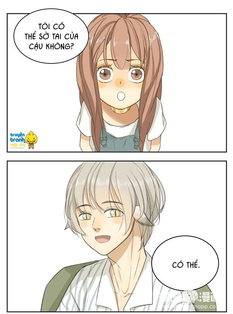 Cứu mạng ! Loài mèo thống trị thế giới rồi !: Chapter 13