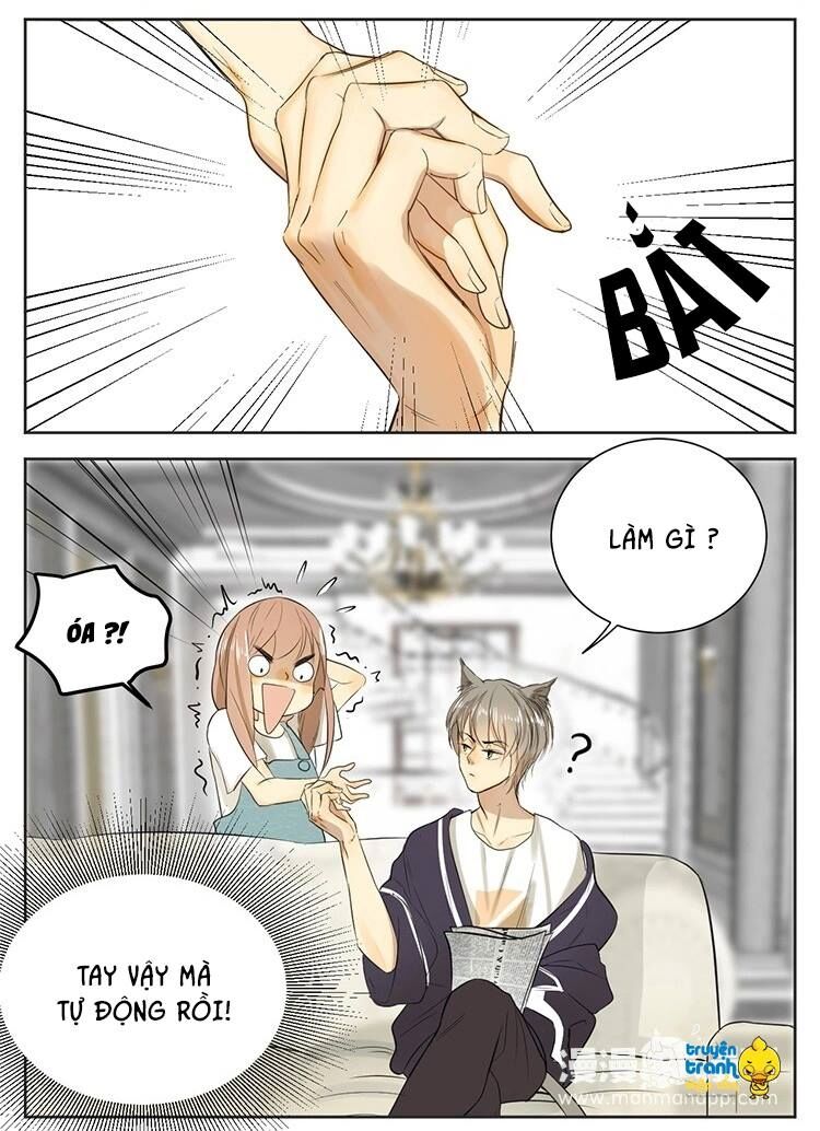 Cứu mạng ! Loài mèo thống trị thế giới rồi !: Chapter 13