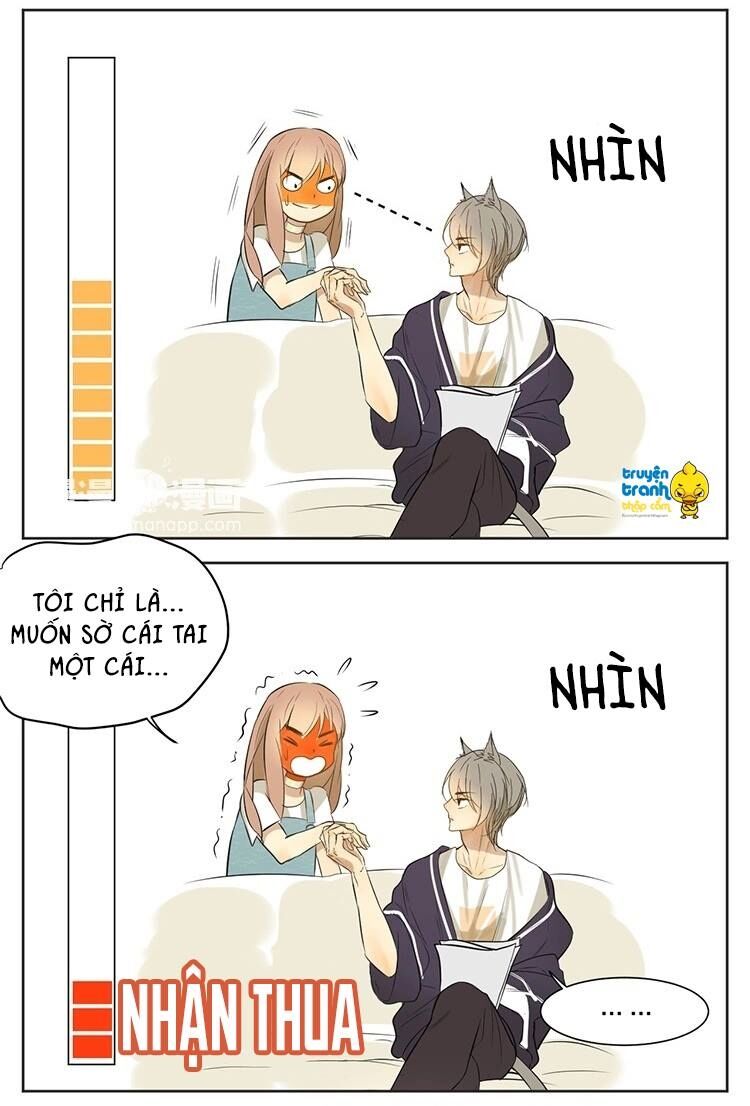 Cứu mạng ! Loài mèo thống trị thế giới rồi !: Chapter 13