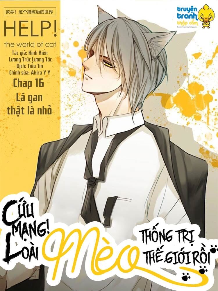 Cứu mạng ! Loài mèo thống trị thế giới rồi !: Chapter 16