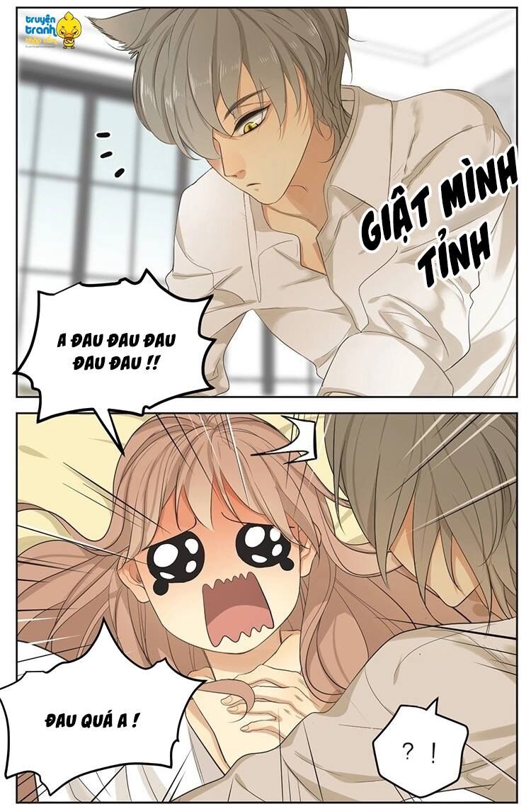 Cứu mạng ! Loài mèo thống trị thế giới rồi !: Chapter 16
