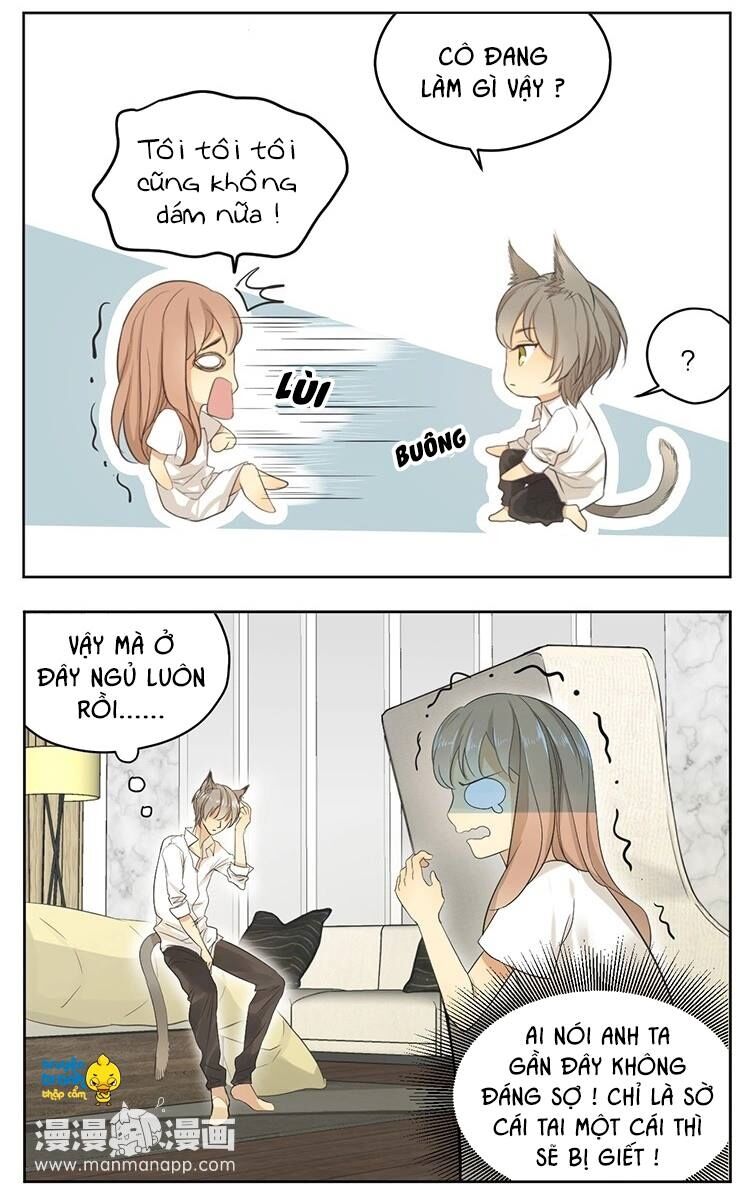 Cứu mạng ! Loài mèo thống trị thế giới rồi !: Chapter 16