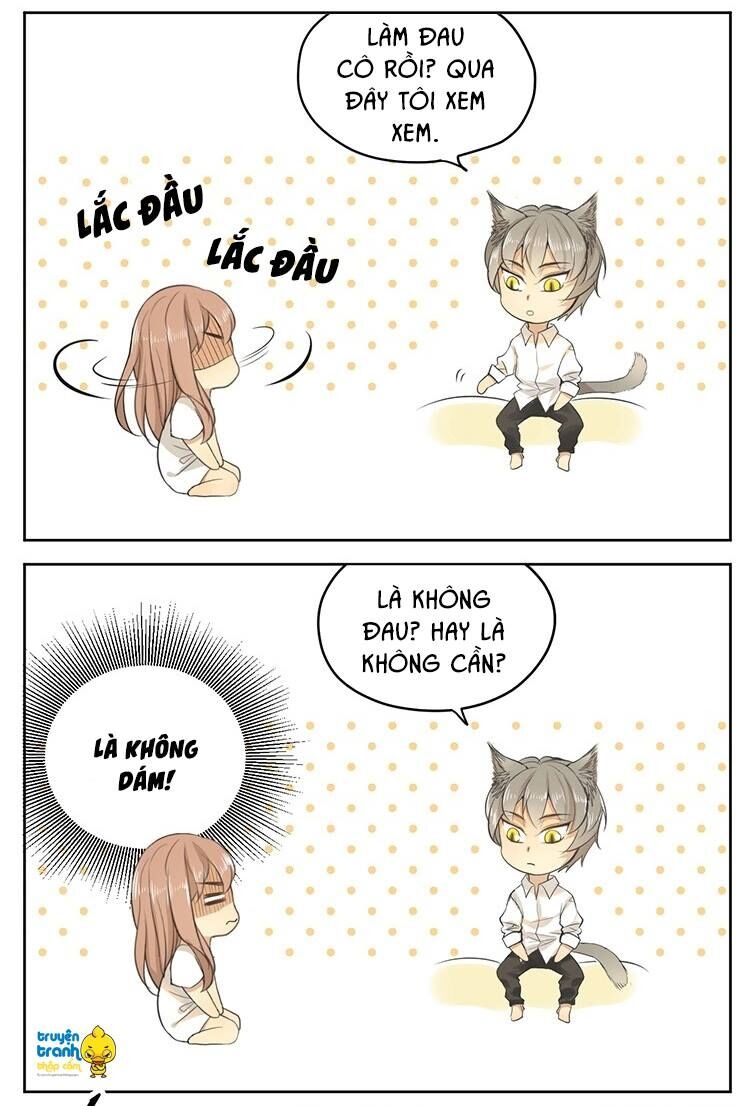 Cứu mạng ! Loài mèo thống trị thế giới rồi !: Chapter 16