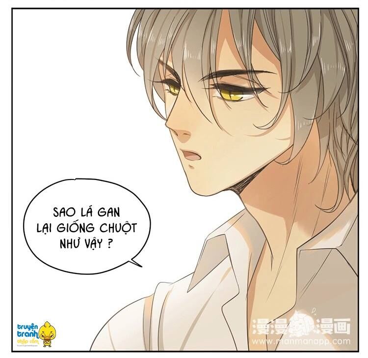 Cứu mạng ! Loài mèo thống trị thế giới rồi !: Chapter 16