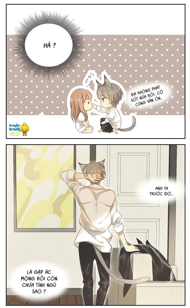 Cứu mạng ! Loài mèo thống trị thế giới rồi !: Chapter 16