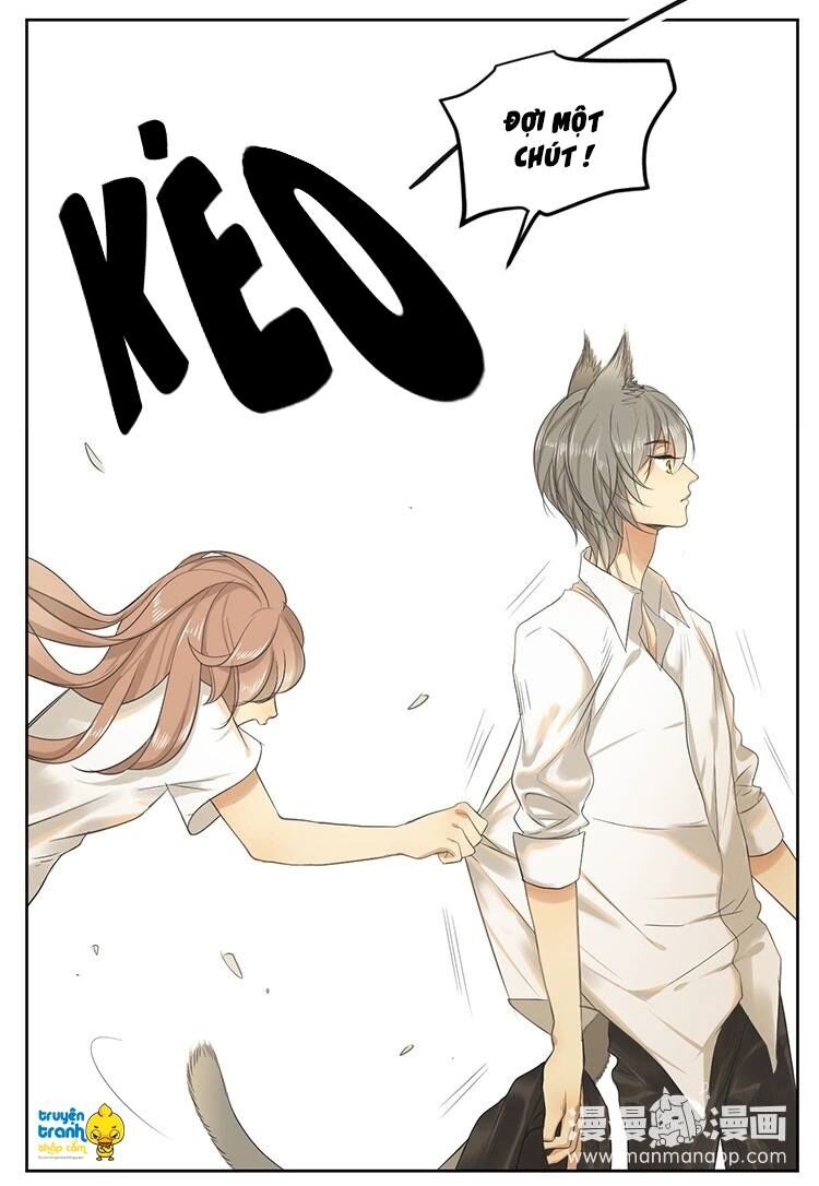 Cứu mạng ! Loài mèo thống trị thế giới rồi !: Chapter 16